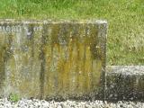 image of grave number 219513